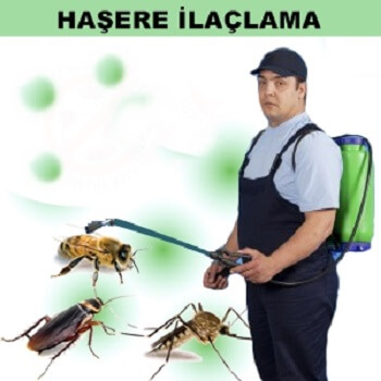 Mudurnu Böcek İlaçlama